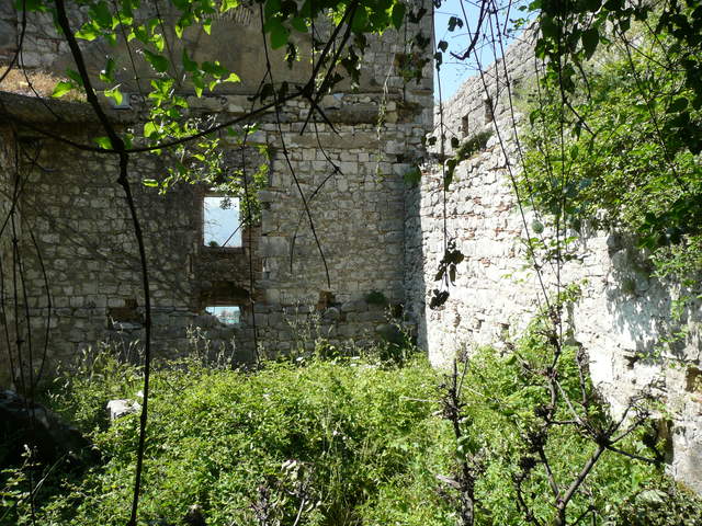P1010421.JPG