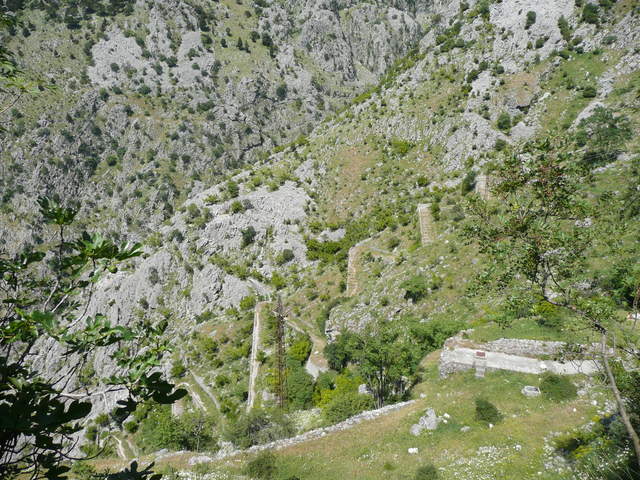 P1010422.JPG
