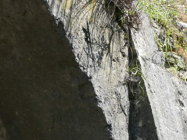 P1010423.JPG