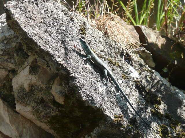 P1010424.JPG