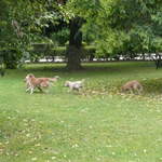 P1010529.JPG