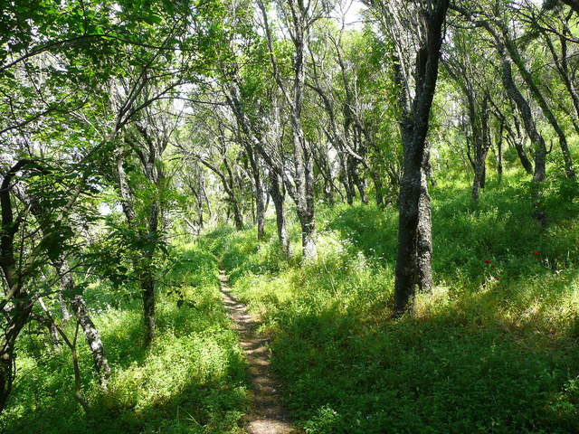 P1010560.JPG