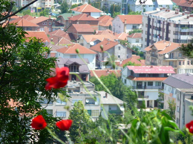 P1010561.JPG
