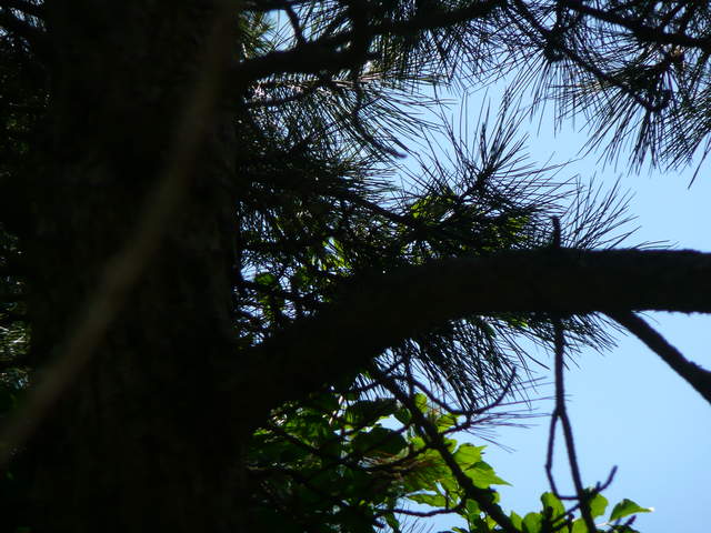 P1010563.JPG