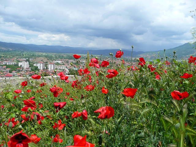 P1010572.JPG