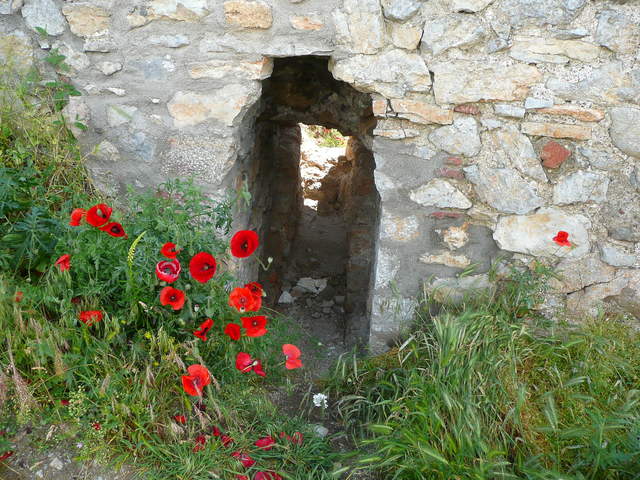 P1010575.JPG