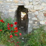 P1010575.JPG