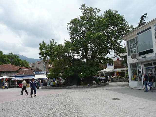 P1010541.JPG