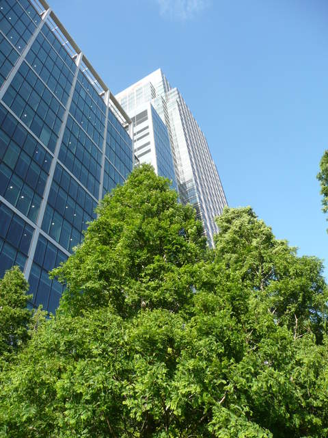 P1010678.JPG