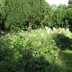 IMG_4067.JPG
