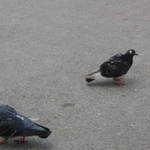 IMG_3577.JPG