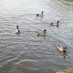 easter 039.jpg