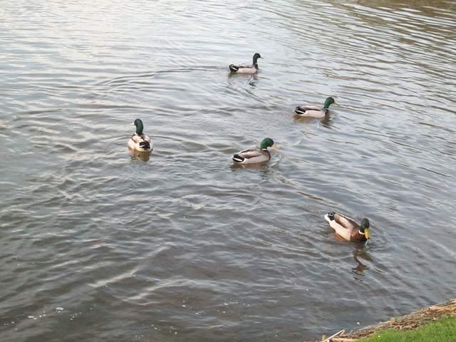 easter 039.jpg