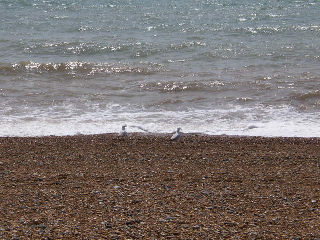 HPIM0712.JPG
