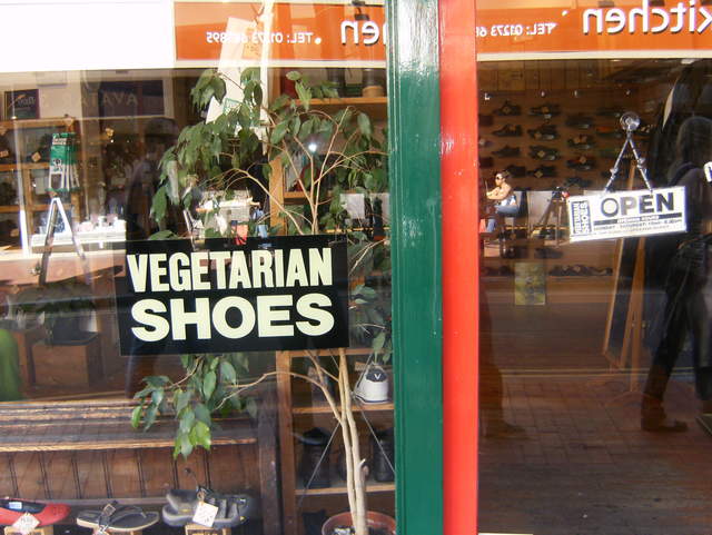 Vegetarian shoes