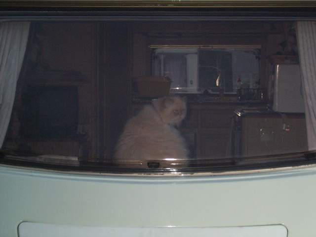 easter 046.jpg