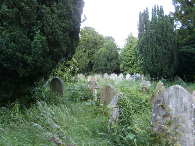 HPIM0548.JPG