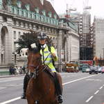Mounted Police