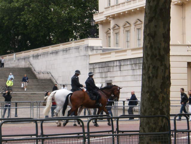 HPIM0380.JPG