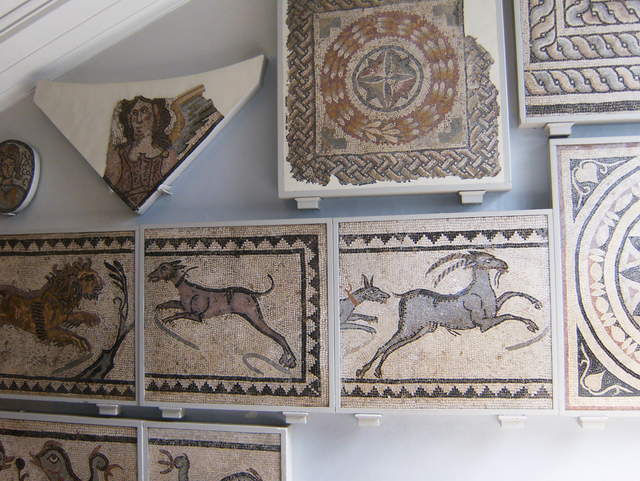 HPIM0632.JPG