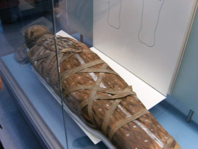 HPIM0642.JPG