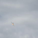 Eurofighter Typhoon