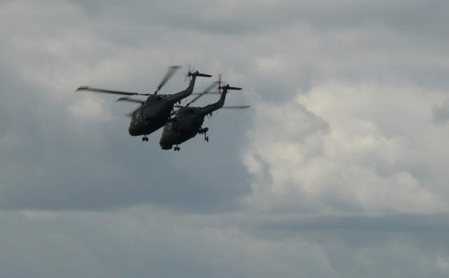 Black Cats Lynx Hellicopter Team