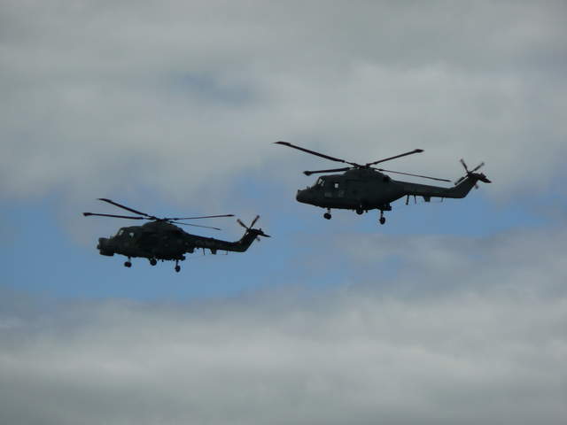 Black Cats Lynx Hellicopter Team