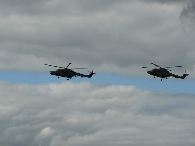 Black Cats Lynx Hellicopter Team