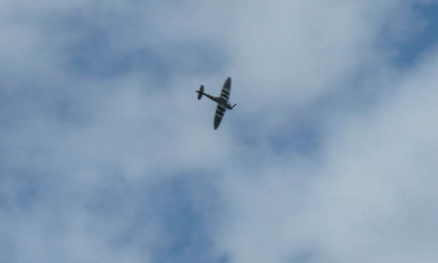 Carolyn Grace Spitfire IXT