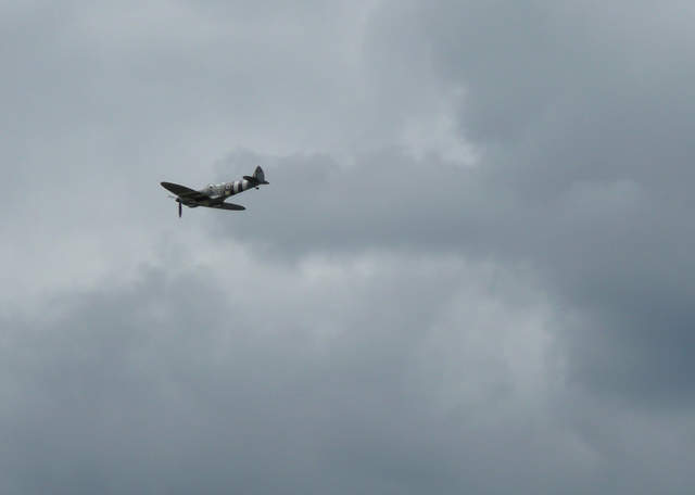 Carolyn Grace Spitfire IXT