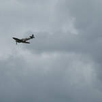 Carolyn Grace Spitfire IXT