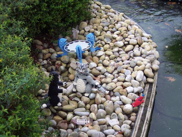 100_1146.jpg