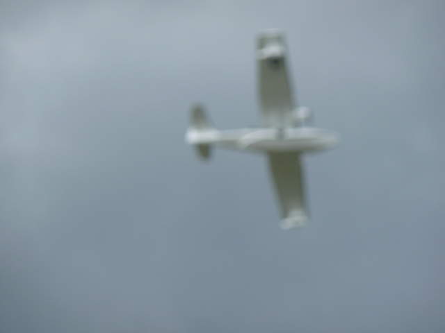 P1020123.JPG
