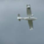 P1020123.JPG