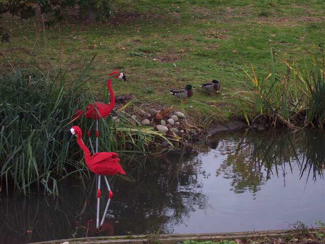 100_1147.jpg