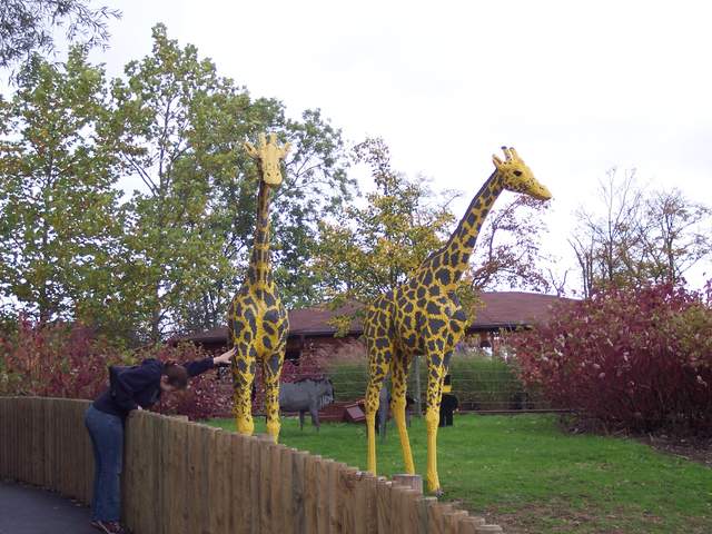 100_1148.jpg