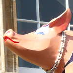 Pig in Prada