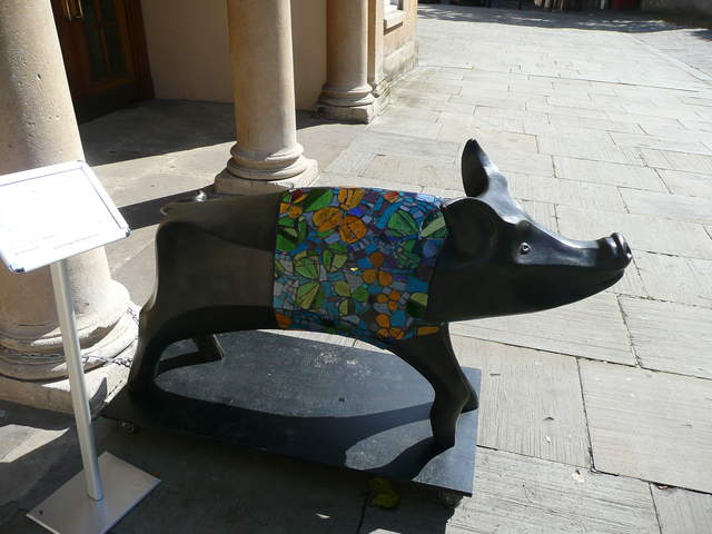Pig in Clover