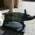 Pig in Clover