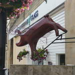 Pig of the West