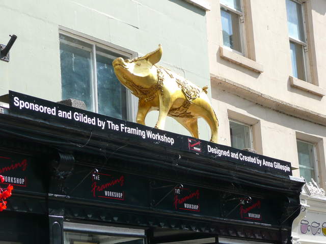 Golden Lily