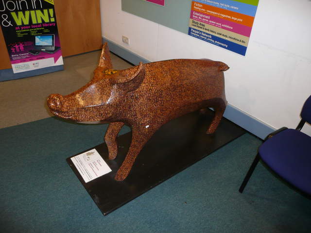Pig Headed