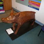 Pig Headed