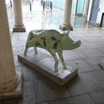 Ayla the Historical Sow