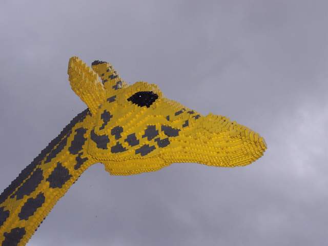 100_1149.jpg