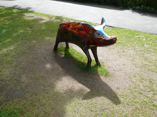 Porcus Dorcus
