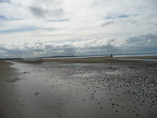 P1020640.JPG