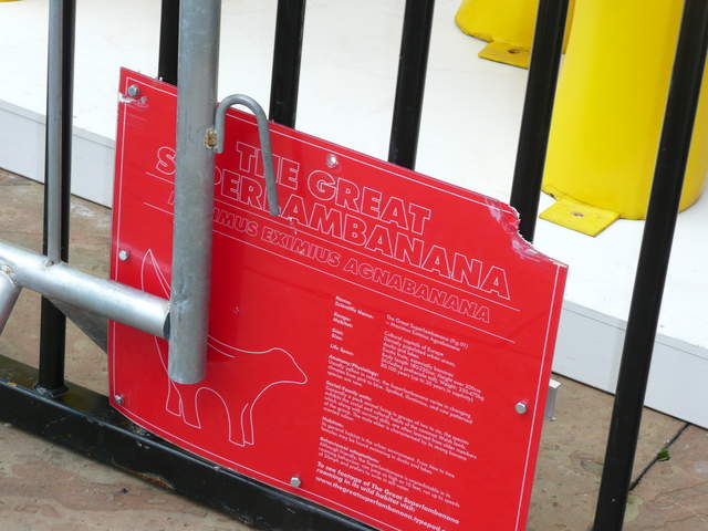 Yellow Superlambanana in a cage