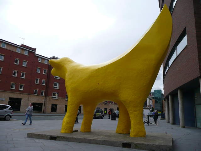 P1020466.JPG